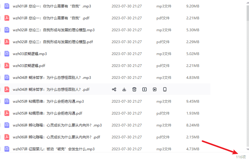 武志红-《自我的诞生完结》（完结）[MP3/PDF/373.74MB]百度网盘 - 时光很长，伴你一同成长。