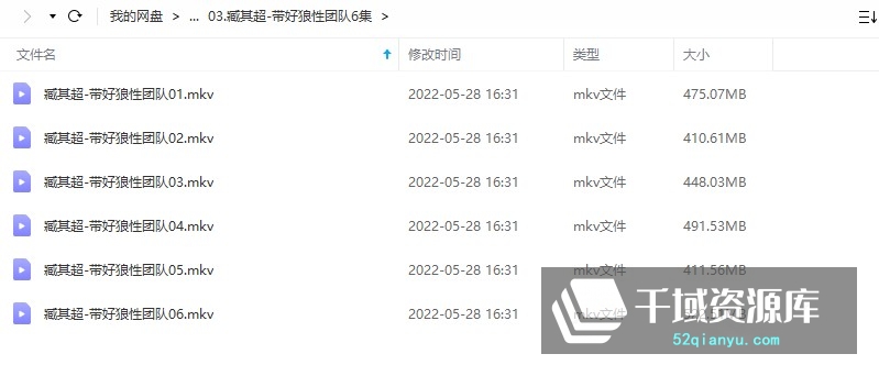 臧其超-带好狼性团队6集-千域资源库