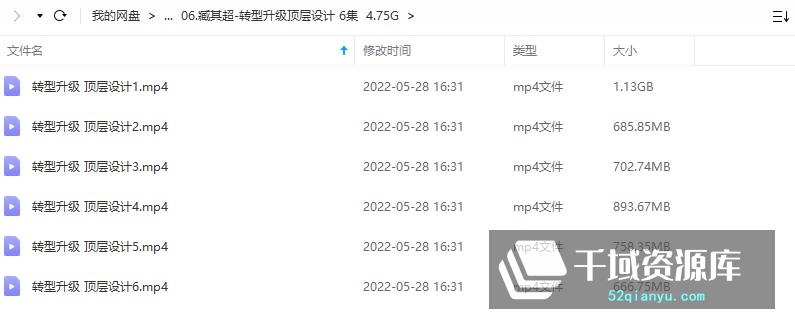 06.臧其超-转型升级顶层设计 6集 4.75G-千域资源库