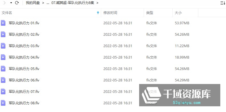 臧其超-军队化执行力8集-千域资源库
